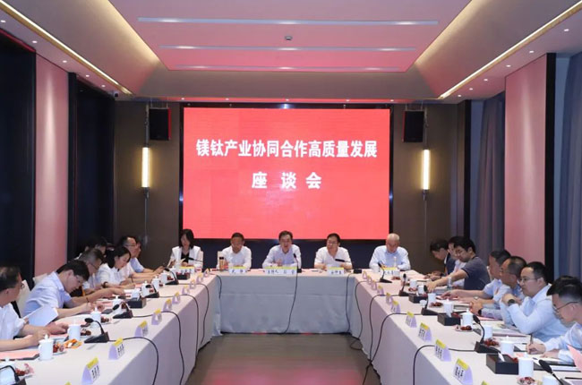 2024镁钛产业协同合作高质量发展座谈会召开